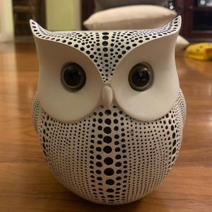 owl amazon alexa holder
